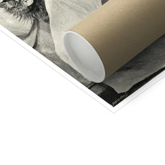 Cats Nightmare | Louis Wain | 1890