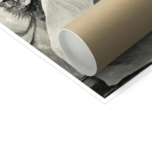 Cats Nightmare | Louis Wain | 1890