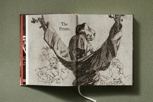 Goya - The Complete Prints