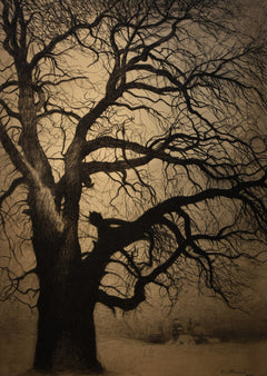 Baum im Winter | Léon Spilliaert | 1930