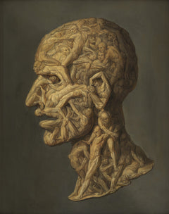 Testa Anatomica | Filippo Balbi | 19. Jahrhundert