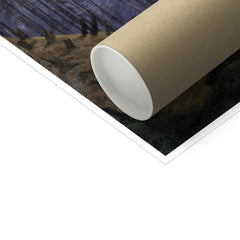 Inside the Forest in the Moonlight | Caspar David Friedrich | 1823