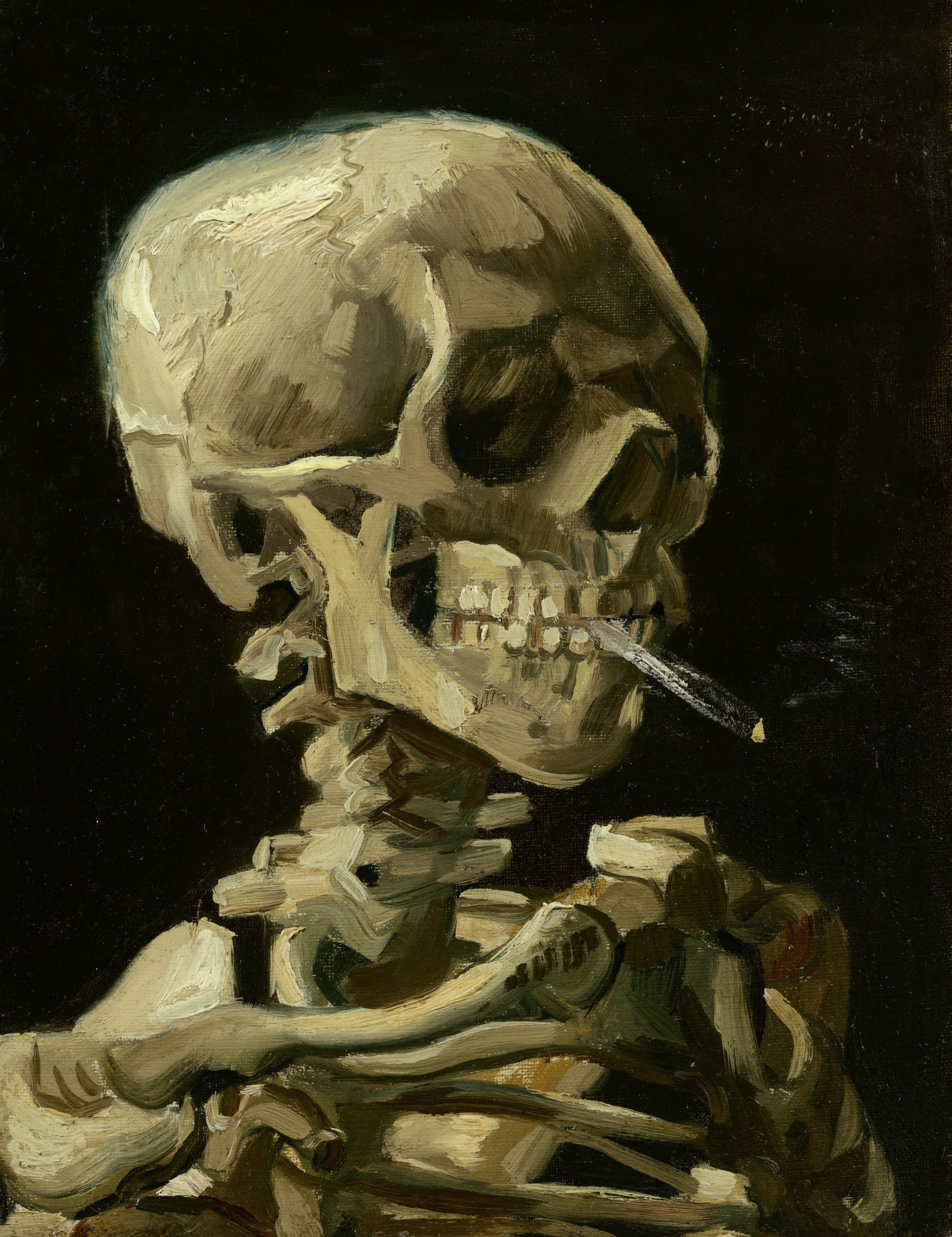 V van gogh best sale