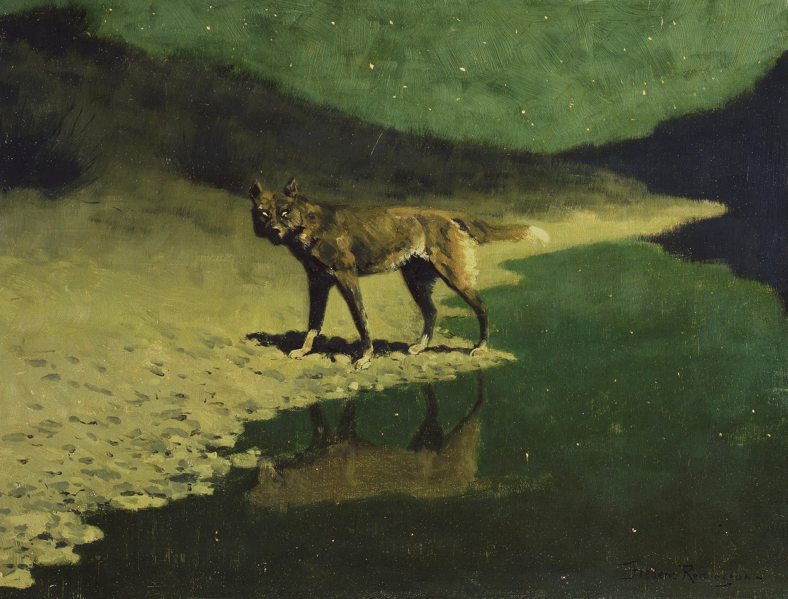 Moonlight, Wolf by Frederic Remington, showing a lone wolf on a pale bank reflected in dark green water