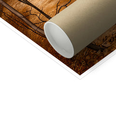 image0