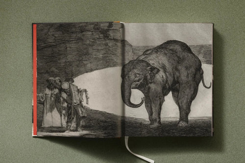 Goya - The Complete Prints