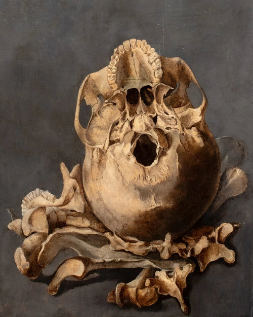 Still Life of a Skull Memento Mori | Follower of Pieter Claesz | 17th Century