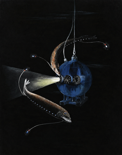 Bathysphere’s Descent | Else Bostelmann | 1934