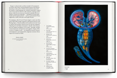 Interior spread with a symmetrical, brightly coloured organic form — Surrealism: First and Always.