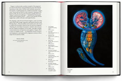 Interior spread with a symmetrical, brightly coloured organic form — Surrealism: First and Always.