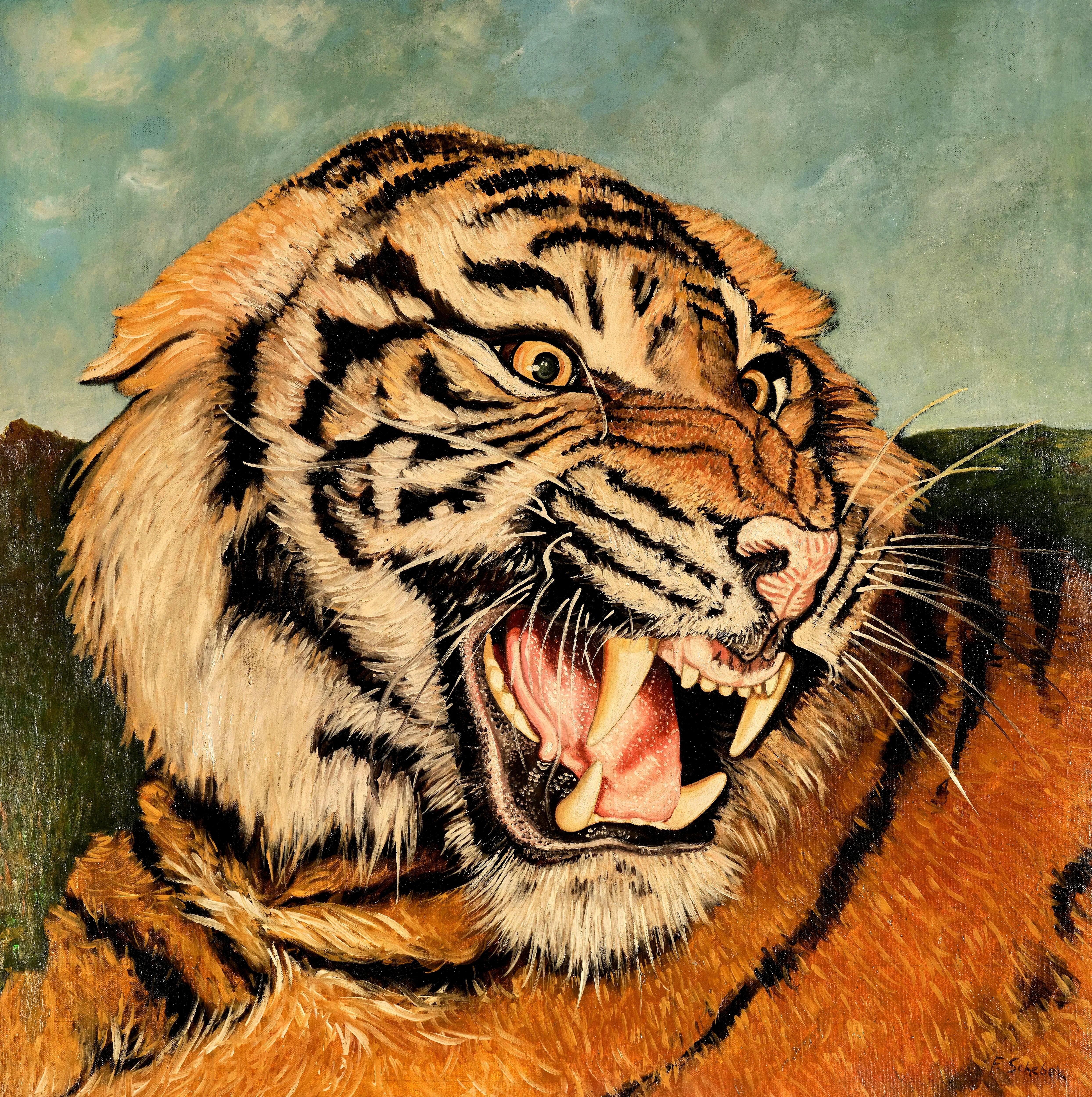 A close view of a tiger’s striped face and open mouth by Ferdinand Schebek.