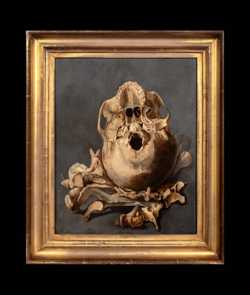 Still Life of a Skull Memento Mori | Follower of Pieter Claesz | 17th Century