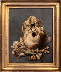 Still Life of a Skull Memento Mori | Follower of Pieter Claesz | 17th Century