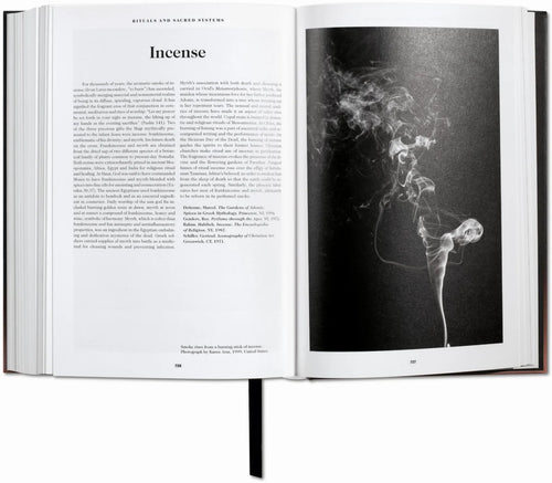 Interior spread on incense, with a photograph of rising smoke — The Book of Symbols: Reflections on Archetypal Images.