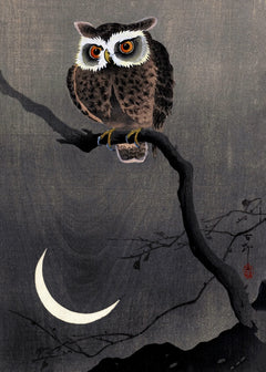 Long Eared Owl on Bare Tree Branch | Ohara Koson | 1915