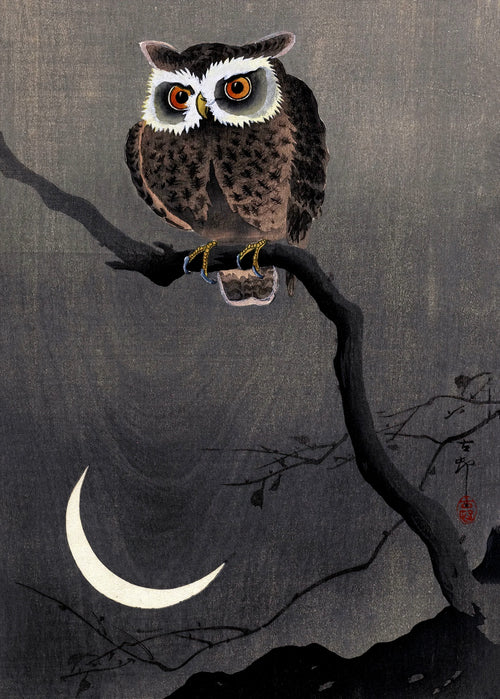 Long Eared Owl on Bare Tree Branch | Ohara Koson | 1915
