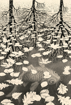 Three Worlds | M.C. Escher | 1955