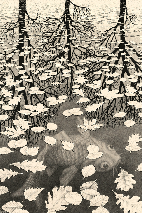 Three Worlds | M.C. Escher | 1955