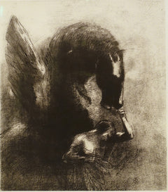 Captured Pegasus | Odilon Redon | 1889